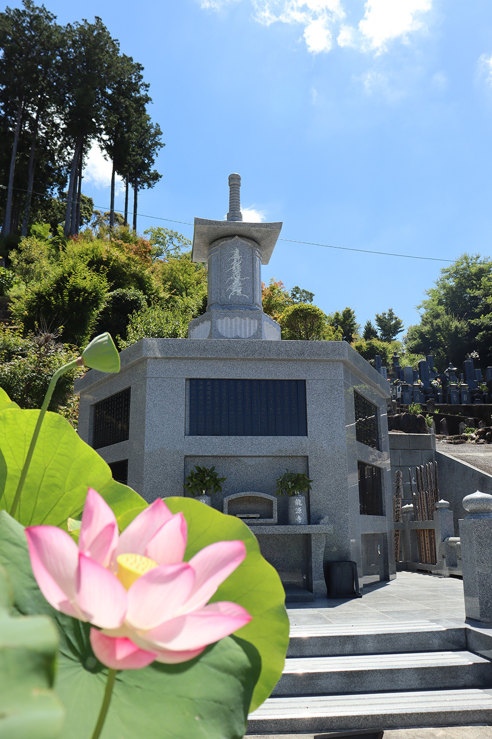 龍源寺の永代供養塔と蓮の花