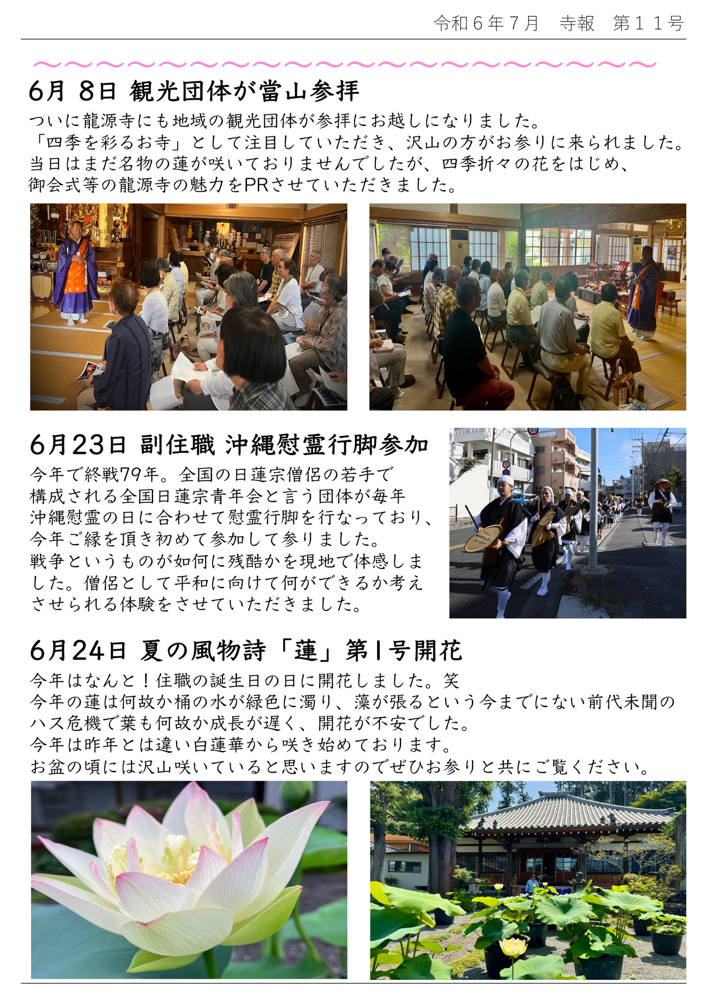 6月8日 観光団体が當山参拝 ついに龍源寺にも地域の観光団体が参拝にお越しになりました。 「四季を彩るお寺」として注目していただき、沢山の方がお参りに来られました。 当日はまだ名物の蓮が咲いておりませんでしたが、四季折々の花をはじめ、御会式等の龍源寺の魅力をPRさせていただきました。 6月23日 副住職 沖縄慰霊行脚参加 今年で終戦79年。全国の日蓮宗僧侶の若手で構成される全国日蓮宗⻘年会と言う団体が毎年沖縄慰霊の日に合わせて慰霊行脚を行なっており、今年ご縁を頂き初めて参加して参りました。 戦争というものが如何に残酷かを現地で体感しました。 僧侶として平和に向けて何ができるか考えさせられる体験をさせていただきました。 6月24日 夏の風物詩「蓮」第1号開花 今年はなんと!住職の誕生日の日に開花しました。笑 今年の蓮は何故か桶の水が緑色に濁り、藻が張るという今までにない前代未聞のハス危機で葉も何故か成長が遅く、開花が不安でした。 今年は昨年とは違い白蓮華から咲き始めております。 お盆の頃には沢山咲いていると思いますのでぜひお参りと共にご覧ください。