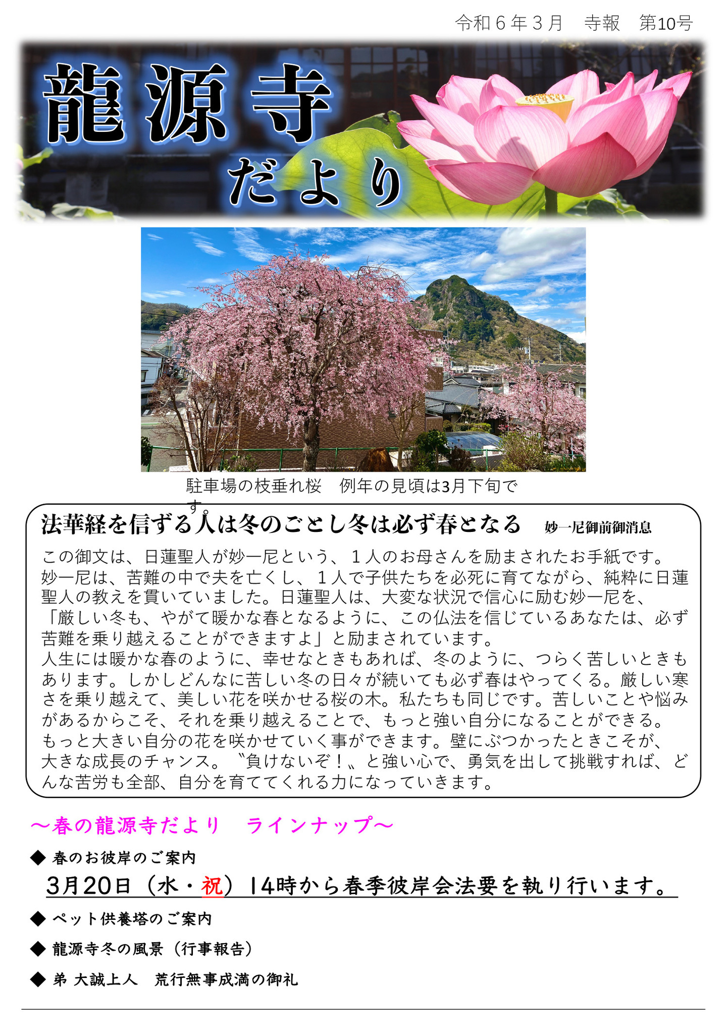 龍源寺だより 令和6年3月 寺報 第10号 写真は駐車場の枝垂れ桜 例年の見頃は3月下旬です。 法華経を信ずるものは冬のごとし 冬は必ず春となる 妙一尼御前御消息 この御文は、日蓮聖人が妙一尼という、1人のお母さんを励まされたお手紙です。 妙一尼は、苦難の中で夫を亡くし、1人で子供たちを必死に育てながら、純粋に日蓮聖人の教えを貫いていました。 日蓮聖人は、大変な状況で信心に励む妙一尼を、「厳しい冬も、やがて暖かな春となるように、この仏法を信じているあなたは、必ず 苦難を乗り越えることができますよ」と励まされています。 人生には暖かな春のように、幸せなときもあれば、冬のように、つらく苦しいときもあります。 しかしどんなに苦しい冬の日々が続いても必ず春はやってくる。 厳しい寒さを乗り越えて、美しい花を咲かせる桜の木。 私たちも同じです。苦しいことや悩みがあるからこそ、それを乗り越えることで、もっと強い自分になることができる。 もっと大きい自分の花を咲かせていく事ができます。壁にぶつかったときこそが、大きな成長のチャンス。 “負けないぞ!”と強い心で、勇気を出して挑戦すれば、どんな苦労も全部、自分を育ててくれる力になっていきます。 春の龍源寺だより ラインナップ ◆春のお彼岸のご案内 3月20日(水・祝)14時から春季彼岸会法要を執り行います。 ◆ペット供養塔のご案内 ◆龍源寺冬の風景(行事報告) ◆弟 大誠上人 荒行無事成満の御礼