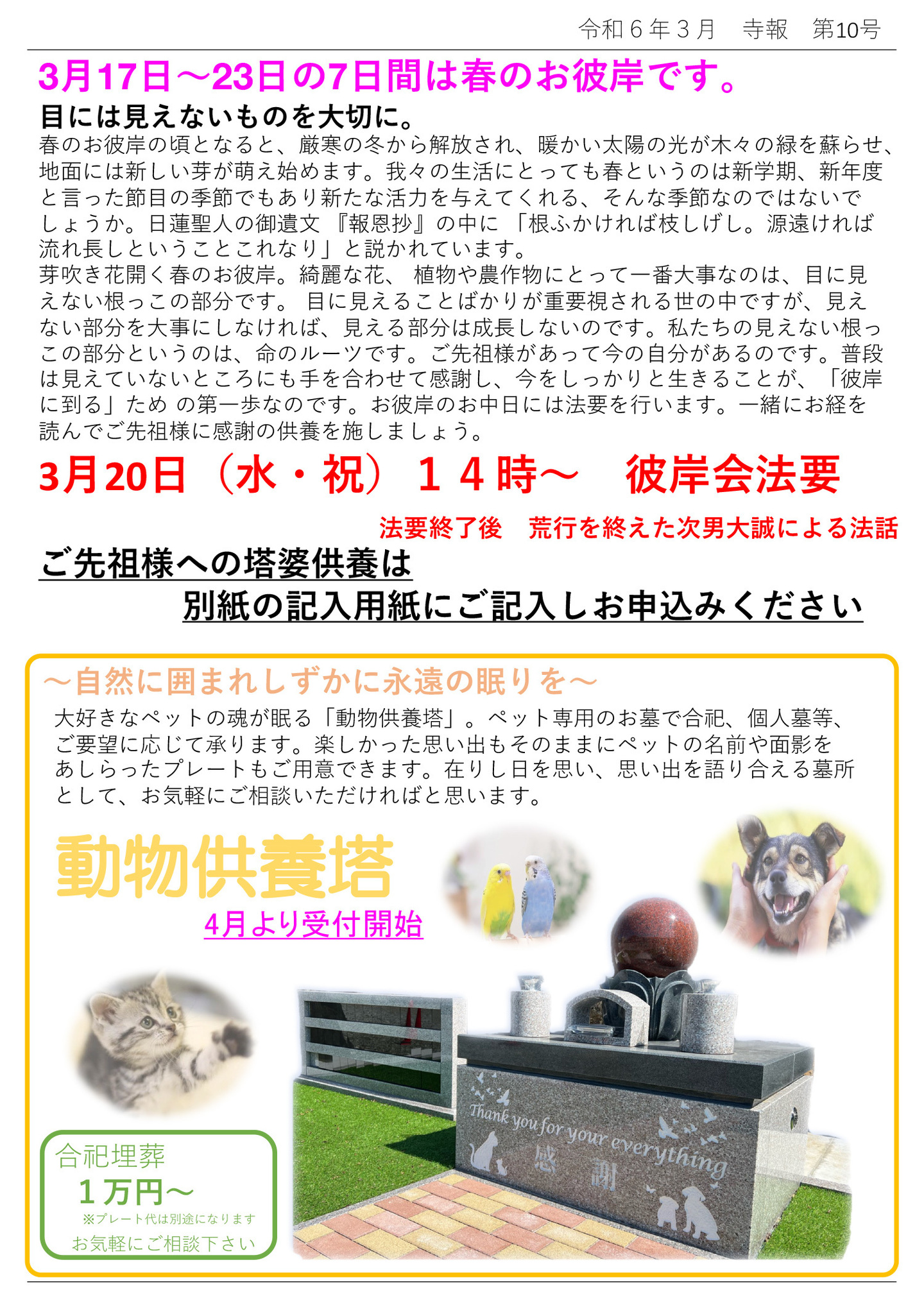 3月17日～23日の7日間は春のお彼岸です。 目には見えないものを大切に。 春のお彼岸の頃となると、厳寒の冬から解放され、暖かい太陽の光が木々の緑を蘇らせ、地面には新しい芽が萌え始めます。 我々の生活にとっても春というのは新学期、新年度と言った節目の季節でもあり新たな活力を与えてくれる、そんな季節なのではないで しょうか。 日蓮聖人の御遺文 『報恩抄』の中に 「根ふかければ枝しげし。源遠ければ流れ長しということこれなり」と説かれています。 芽吹き花開く春のお彼岸。綺麗な花、 植物や農作物にとって一番大事なのは、目に見えない根っこの部分です。 目に見えることばかりが重要視される世の中ですが、見えない部分を大事にしなければ、見える部分は成長しないのです。 私たちの見えない根っこの部分というのは、命のルーツです。 ご先祖様があって今の自分があるのです。 普段は見えていないところにも手を合わせて感謝し、今をしっかりと生きることが、「彼岸に到る」ため の第一歩なのです。 お彼岸のお中日には法要を行います。一緒にお経を読んでご先祖様に感謝の供養を施しましょう。 3月20日(水・祝)14時～ 彼岸会法要 法要終了後 荒行を終えた次男大誠による法話 ご先祖様への塔婆供養は別紙の記入用紙にご記入しお申込みください 動物供養塔 4月より受付開始 合祀埋葬１万円～ ※プレート代は別途になります お気軽にご相談下さい 自然に囲まれしずかに永遠の眠りを 大好きなペットの魂が眠る「動物供養塔」。ペット専用のお墓で合祀、個人墓等、 ご要望に応じて承ります。楽しかった思い出もそのままにペットの名前や面影を あしらったプレートもご用意できます。在りし日を思い、思い出を語り合える墓所 として、お気軽にご相談いただければと思います。