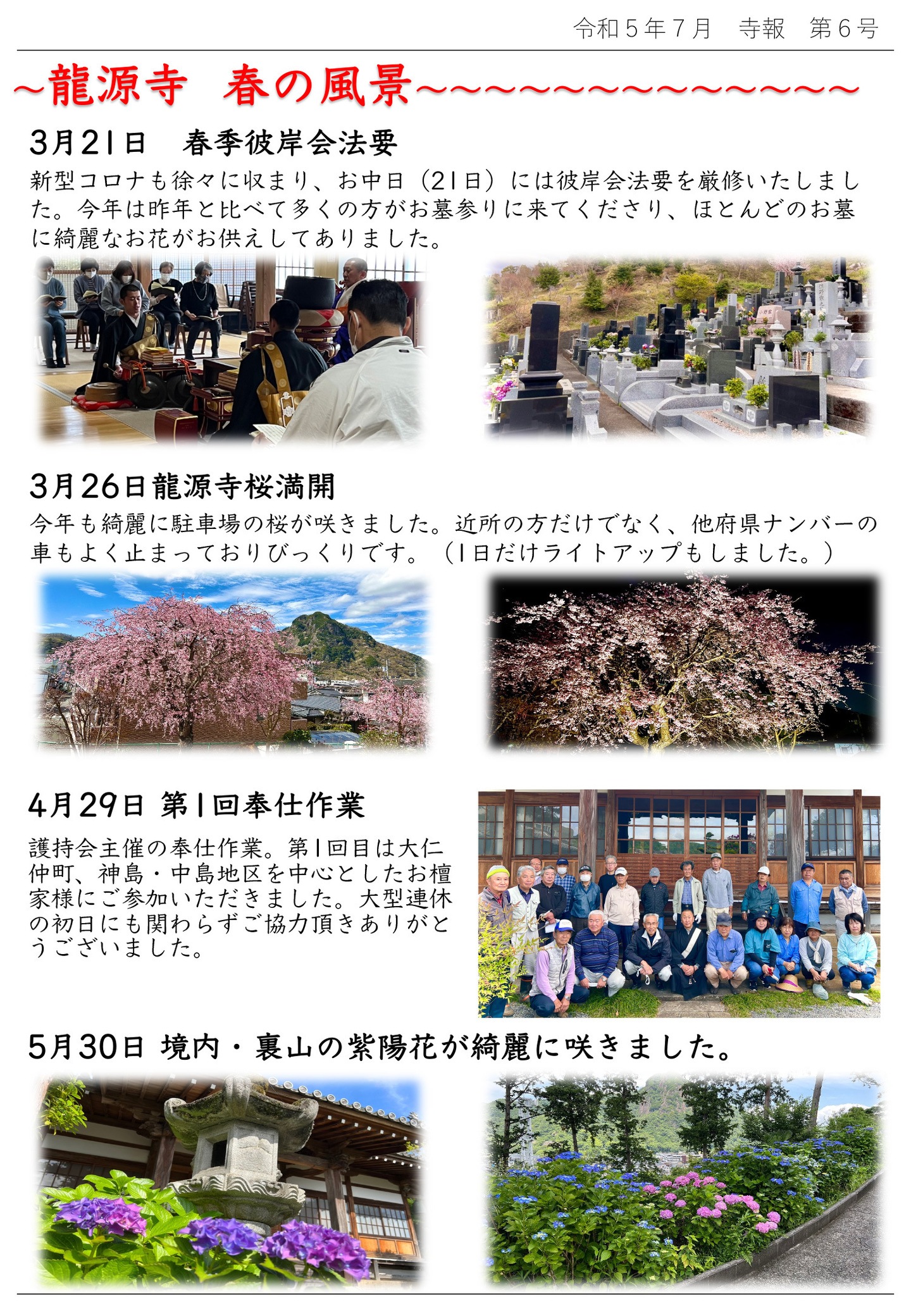 龍源寺 春の風景 3月21日 春季彼岸会法要 新型コロナも徐々に収まり、お中日(21日)には彼岸会法要を厳修いたしました。 今年は昨年と比べて多くの方がお墓参りに来てくださり、ほとんどのお墓に綺麗なお花がお供えしてありました。 3月26日 龍源寺桜満開 今年も綺麗に駐車場の桜が咲きました。 近所の方だけでなく、他府県ナンバーの車もよく止まっておりびっくりです。(1日だけライトアップもしました。) 4月29日 第1回奉仕作業 護持会主催の奉仕作業。第1回目は大仁、仲町、神島・中島地区を中心としたお檀家様にご参加いただきました。 大型連休の初日にも関わらずご協力頂きありがとうございました。 5月30日 境内・裏山の紫陽花が綺麗に咲きました。