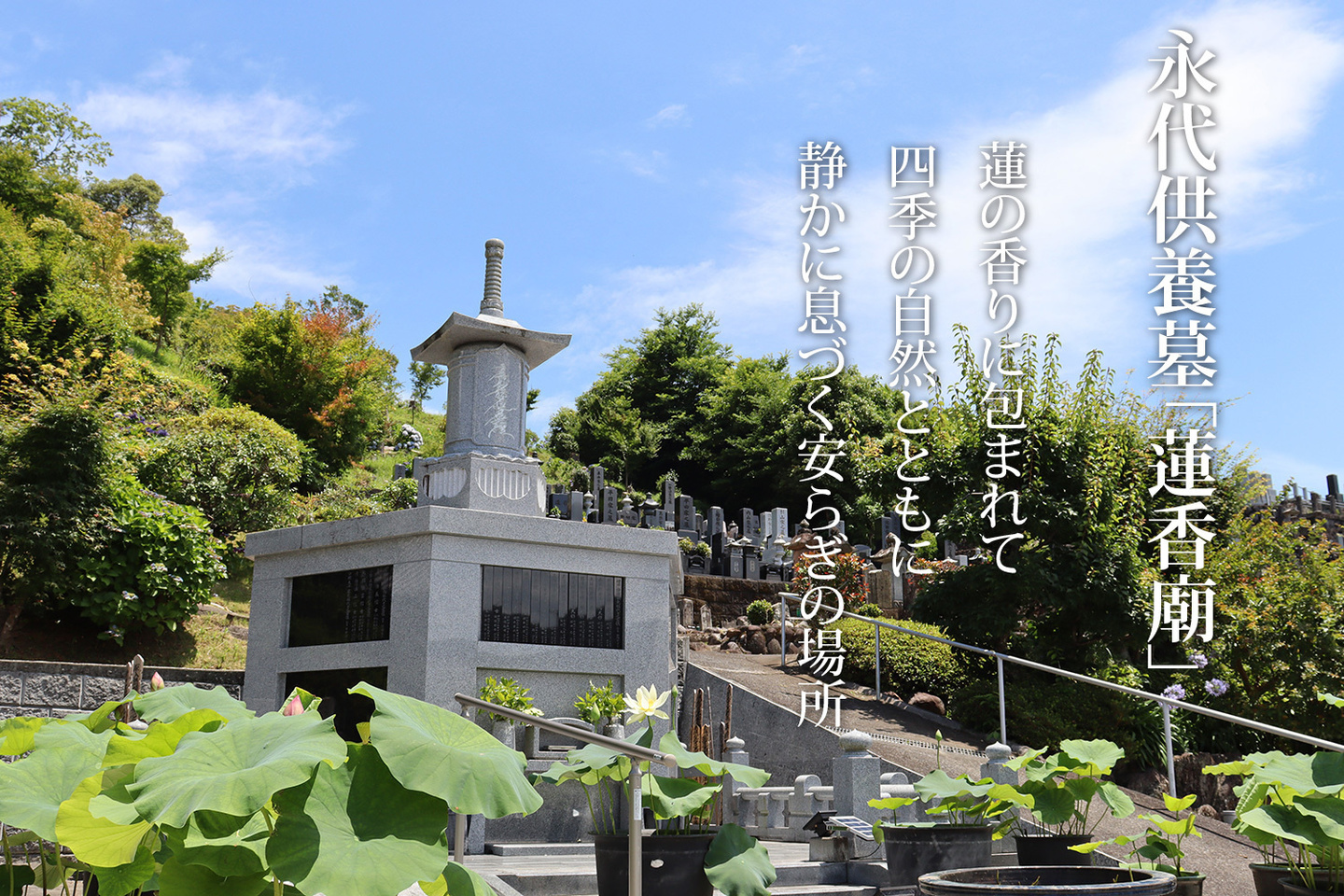 永代供養墓「蓮香廟」蓮の香りに包まれて、四季の自然とともに、静かに息づく安らぎの場所：永代供養にも対応いたしております龍源寺（りゅうげんじ）の永代供養塔