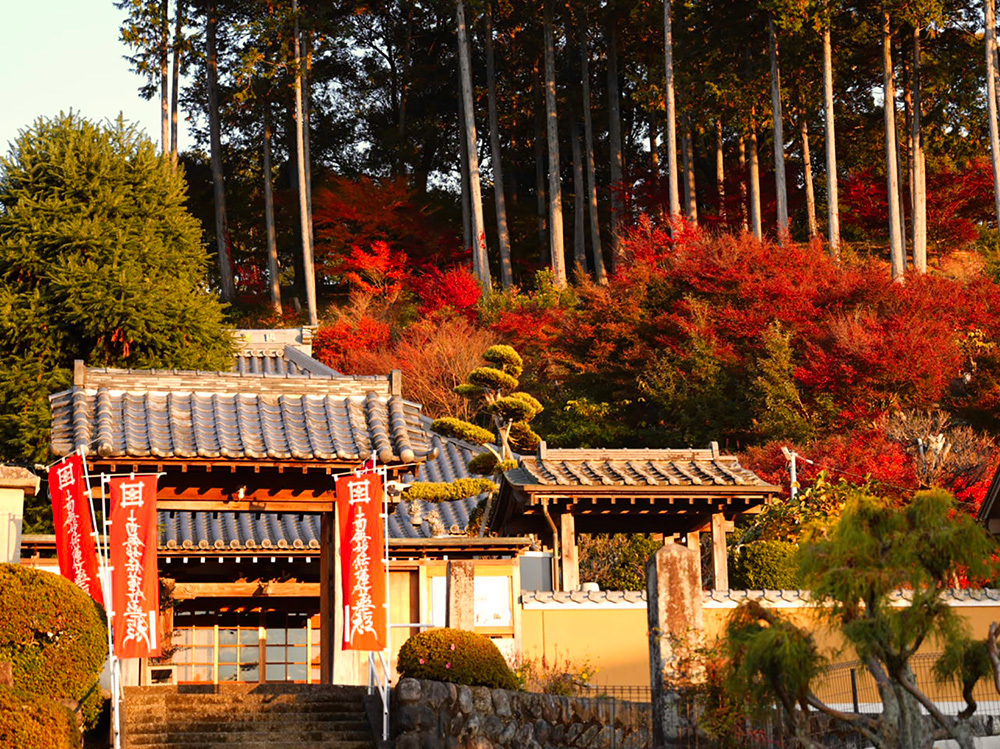 静岡県伊豆の国市・大仁のお寺、龍源寺の秋の紅葉の風景